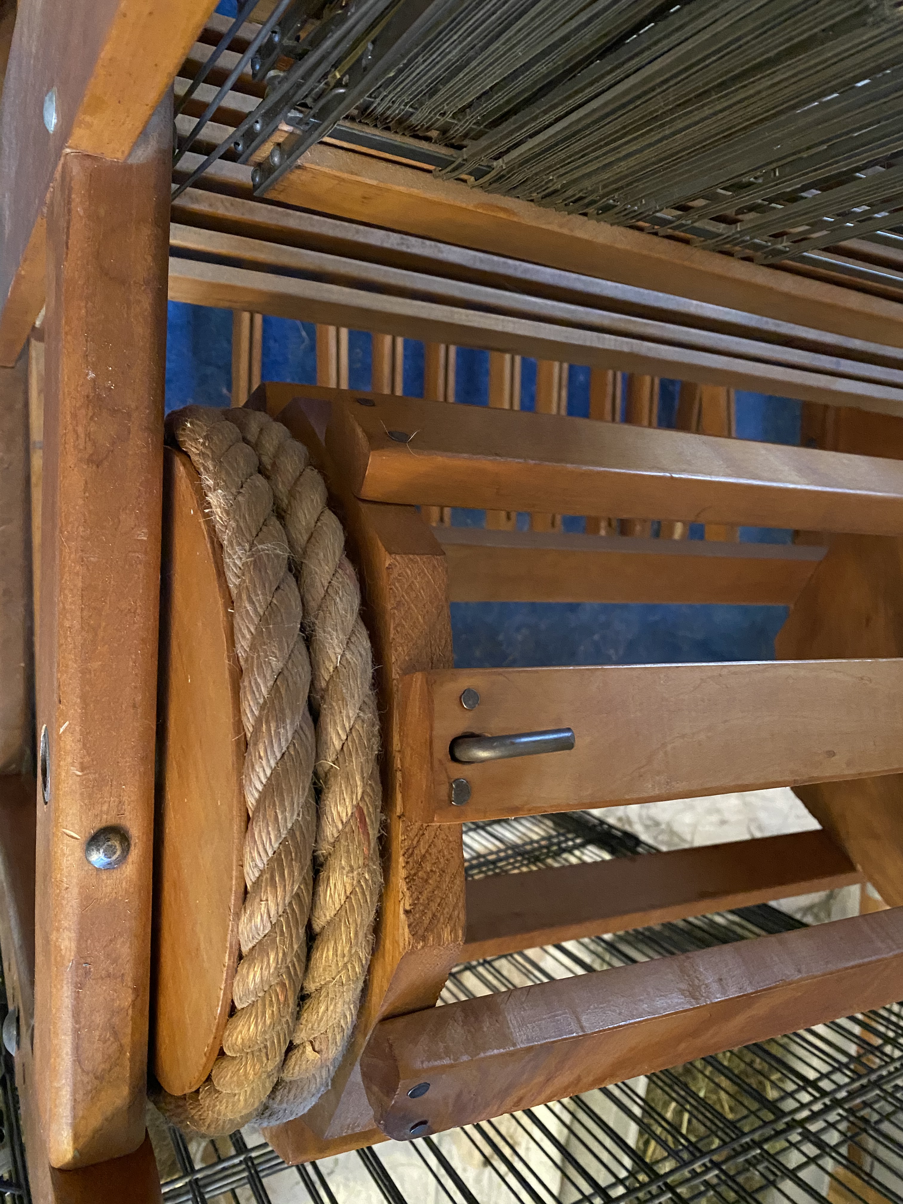 image_11153e1b-8a7d-4377-9949-aeb21868dec0.img_1242