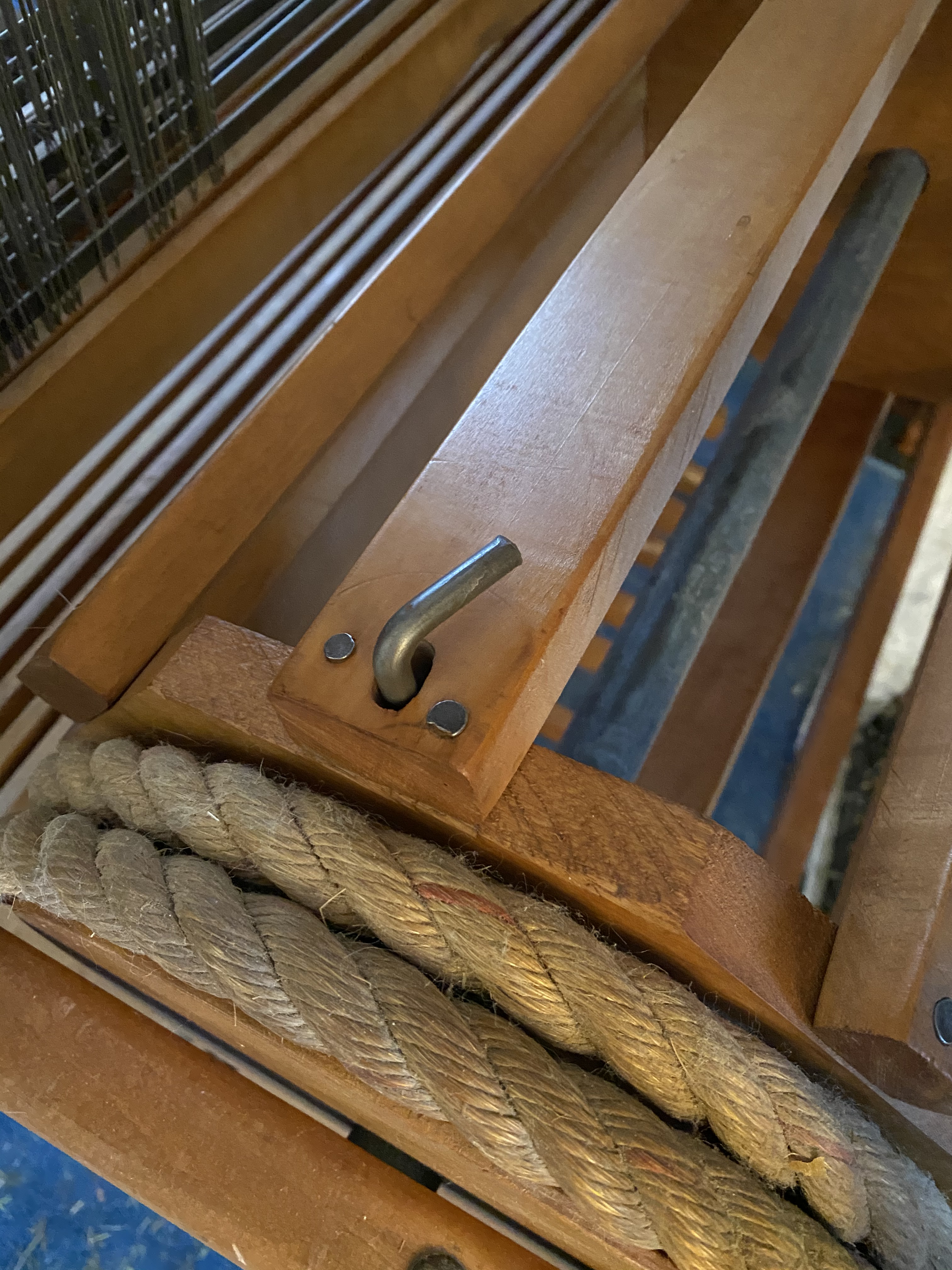 image_51adbb17-0896-499b-9a9d-763516084955.img_1241