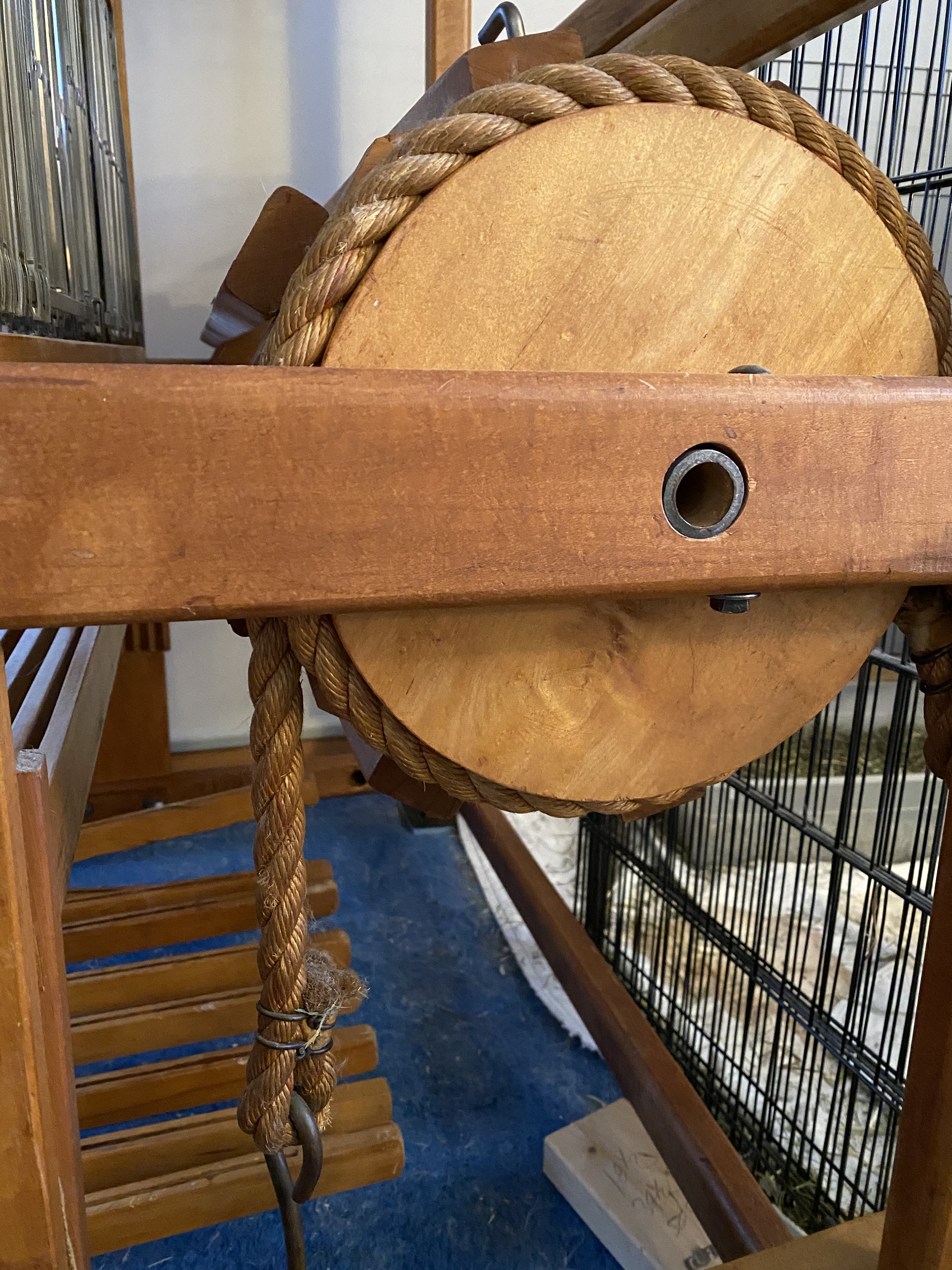 image_82a69247-a0f6-4fa9-a4a9-0f89eb9becf9.img_1245