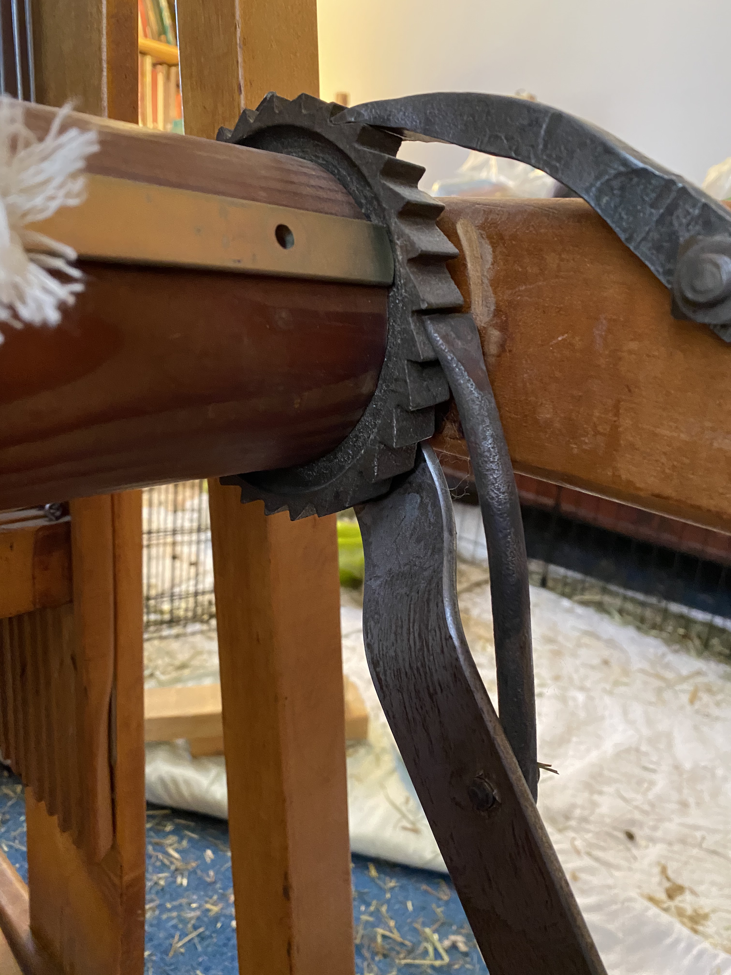 image_b39759c5-53c1-4c82-b8de-56eef3c965db.img_1253